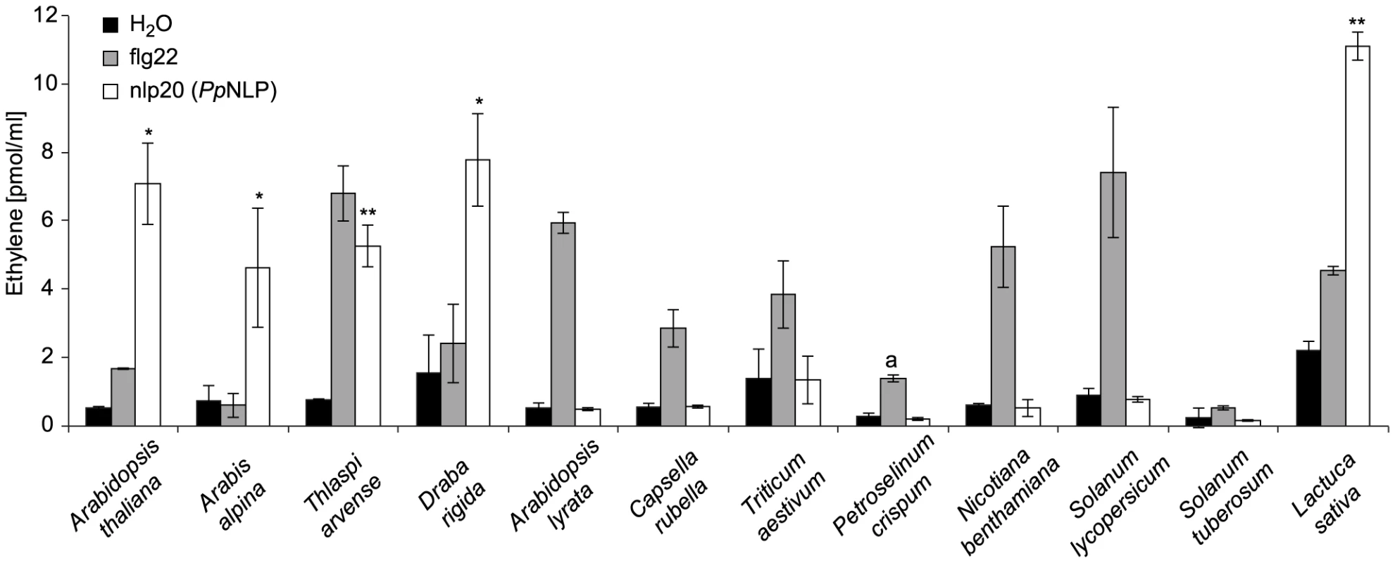 Analysis of nlp20 (<i>Pp</i>NLP) recognition systems in various plant families.