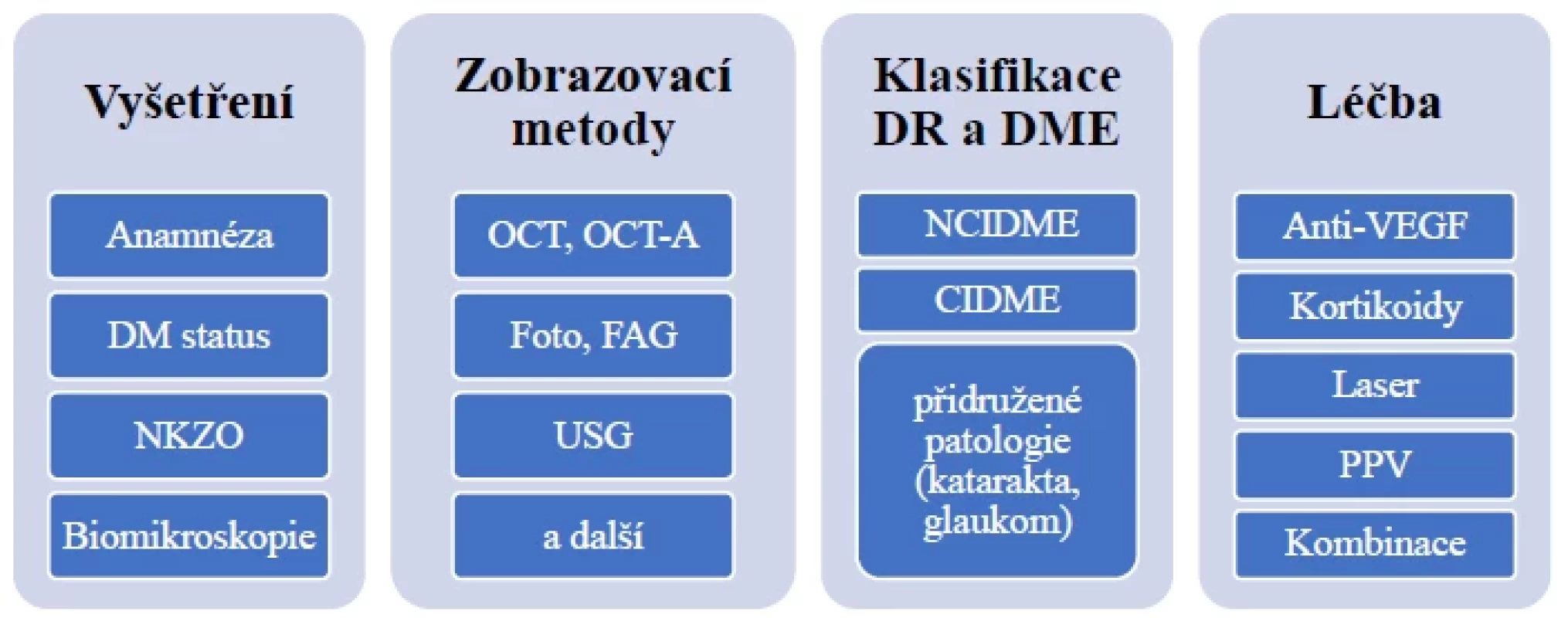 Schéma diagnostiky a léčby DME