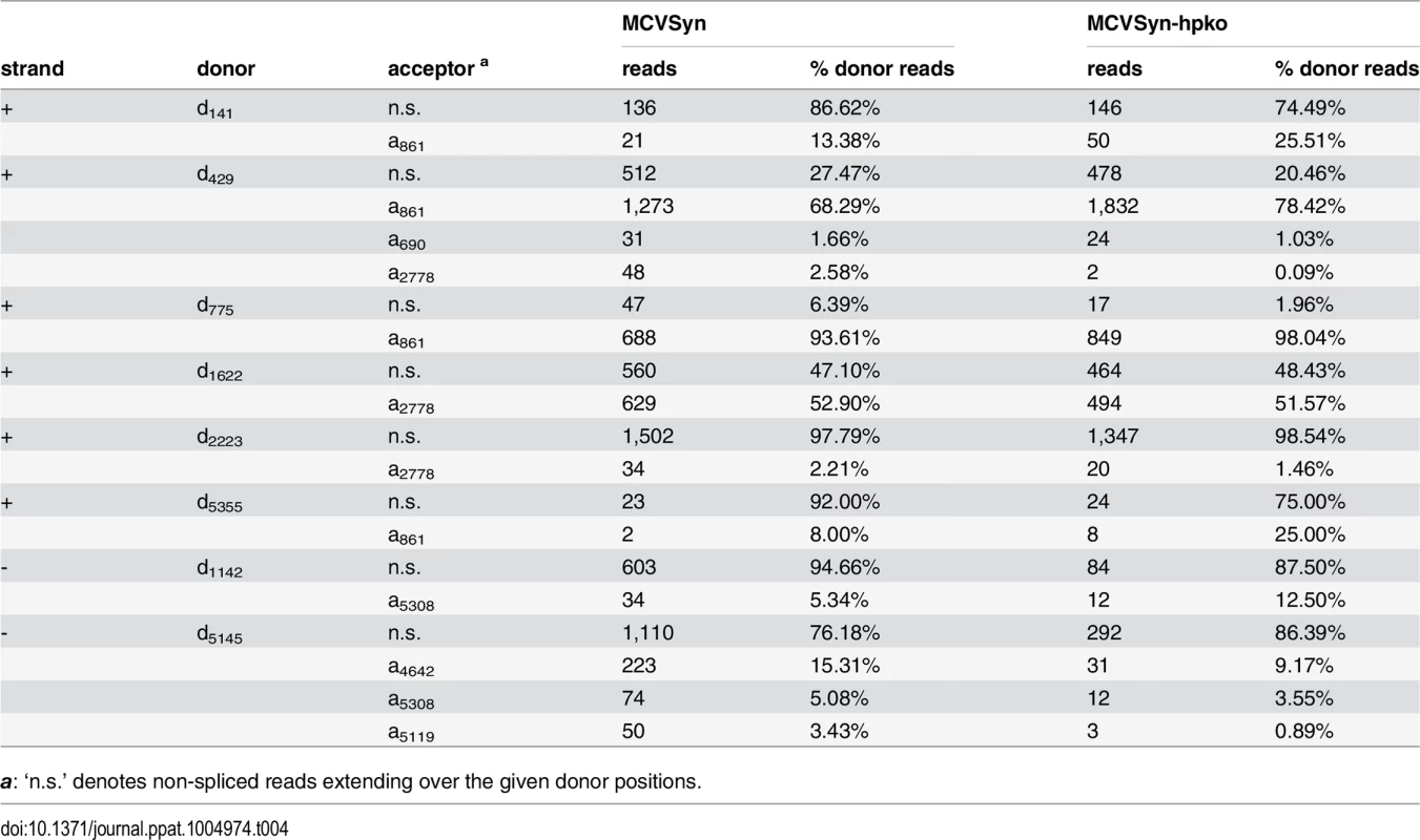 Splice junctions observed in MCVSyn- and MCVSyn-hpko-transfected cells.