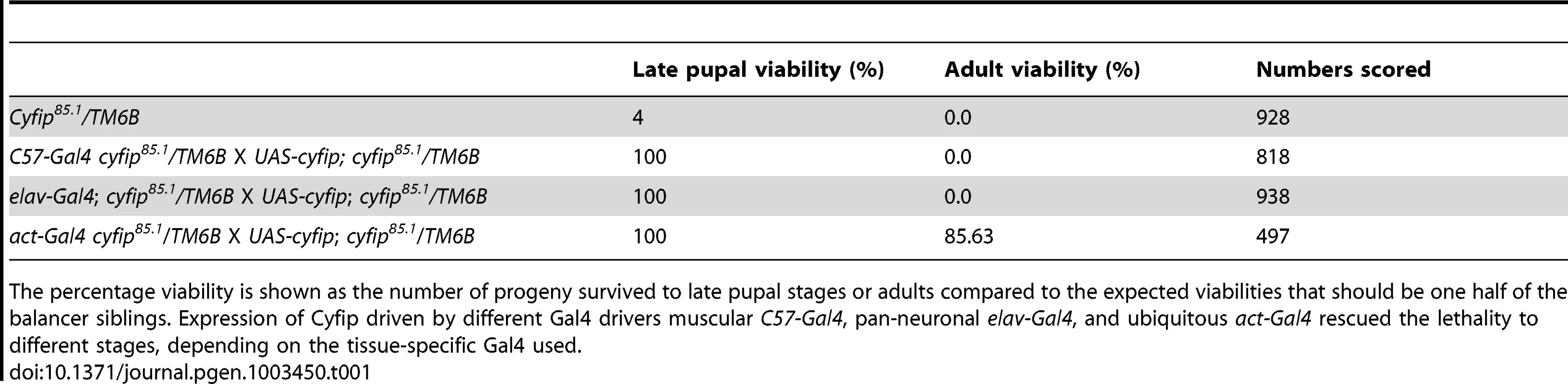 Rescue of <i>cyfip</i> mutant lethality by tissue-specific expression of Cyfip.