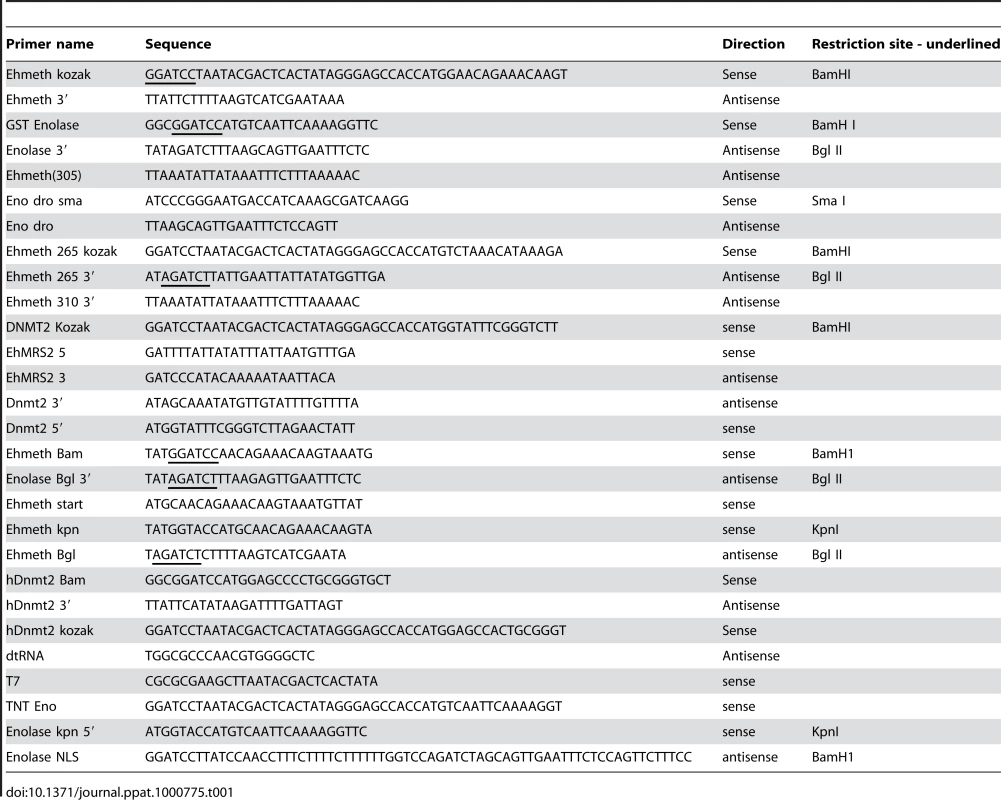 Primers used in this study.