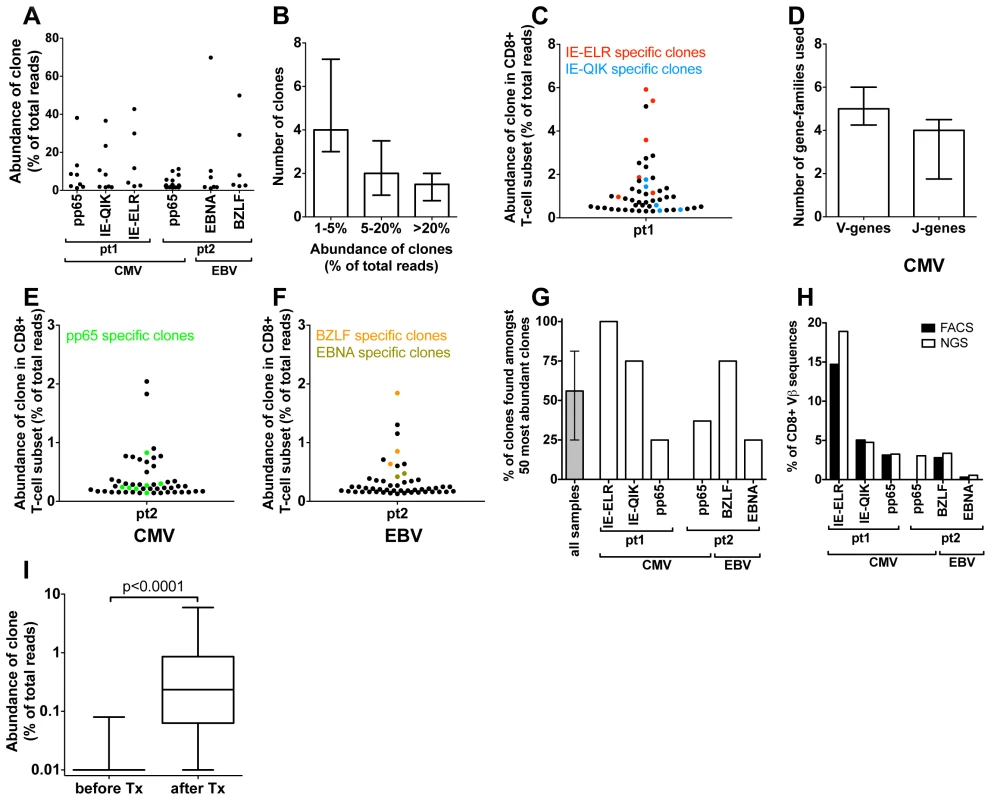 Quantification of clonal response in early response against hCMV and EBV.