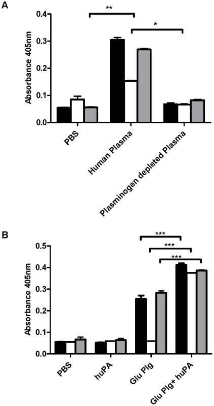 Cell surface plasmin acquisition in the absence of streptokinase.