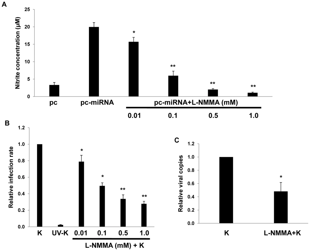 RNS inhibition reduces macrophage susceptibility to KSHV infection.