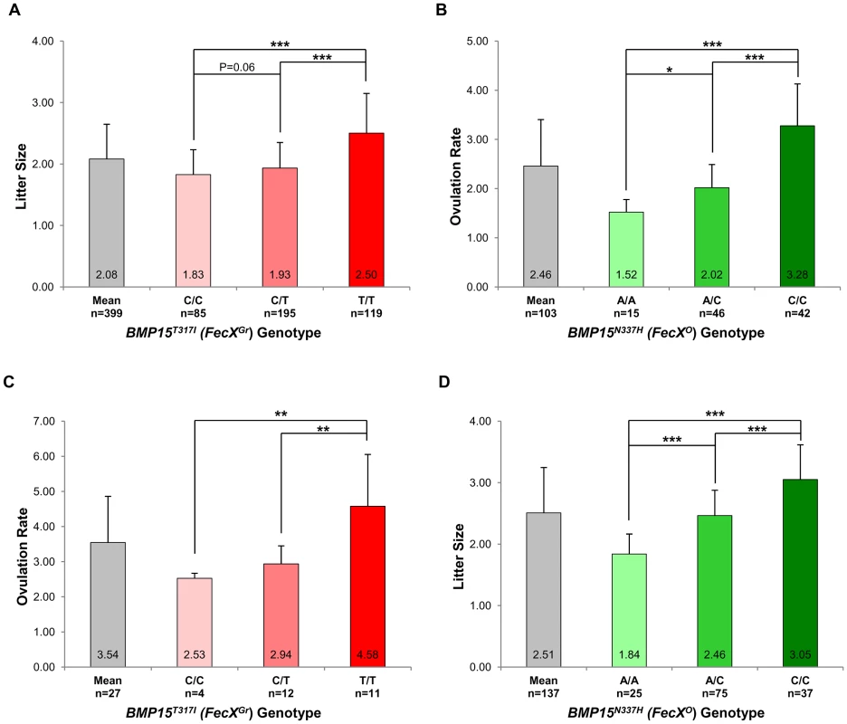 Genotypic distributions of <b><i>FecX<sup>Gr</sup></i></b><b> and </b><b><i>FecX<sup>O</sup></i></b><b> mutations.</b>