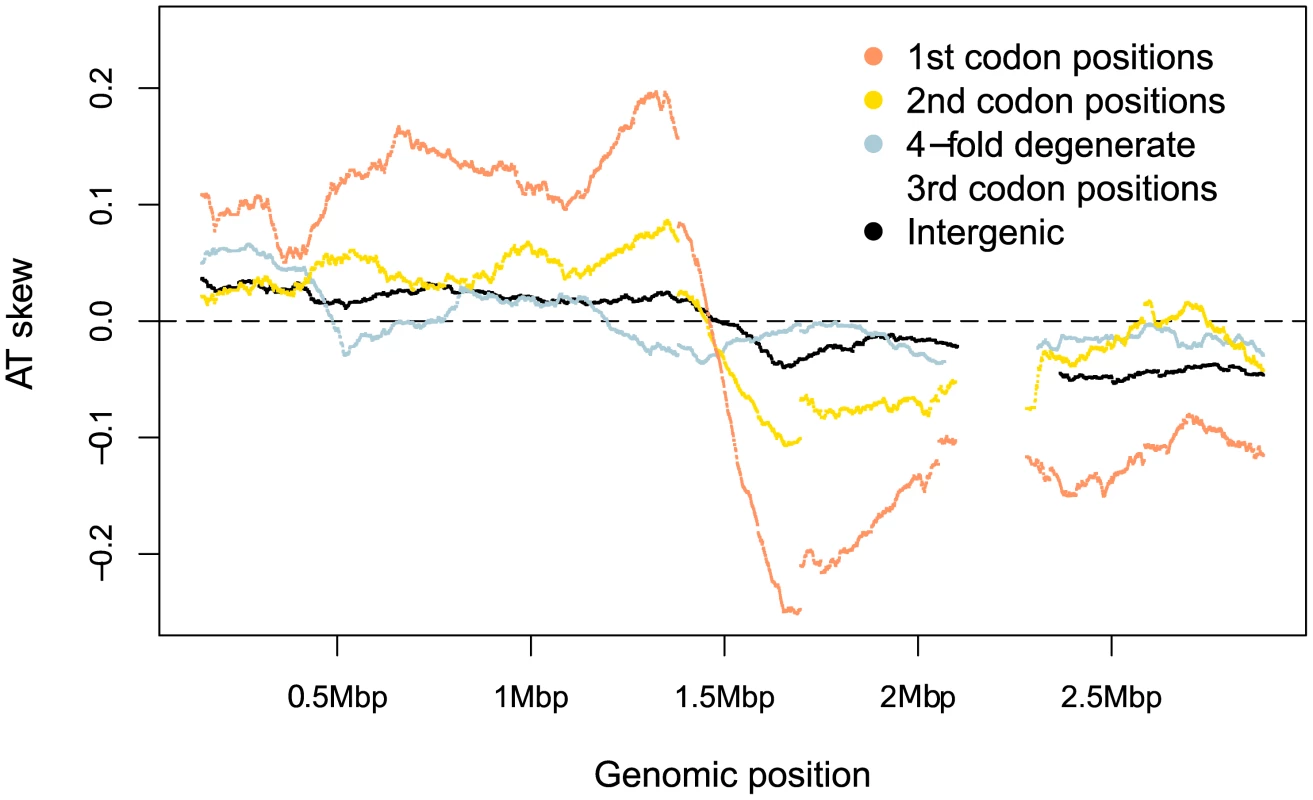<i>S. aureus</i> AT skews in different sites along the genome.