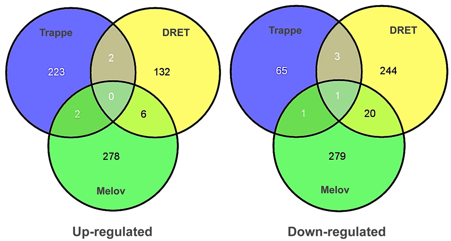 Differential gene expression analysis, contrasting young and old subjects, does not produce a reliable biomarker signature of age.