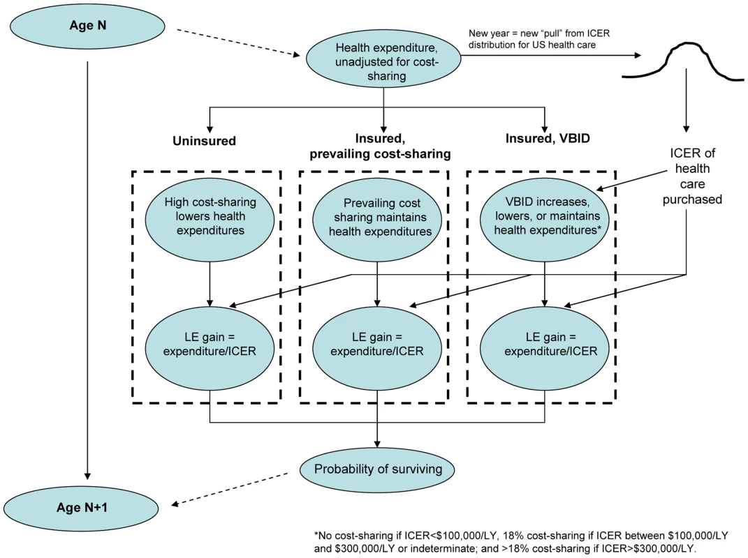 Schematic of computer simulation.