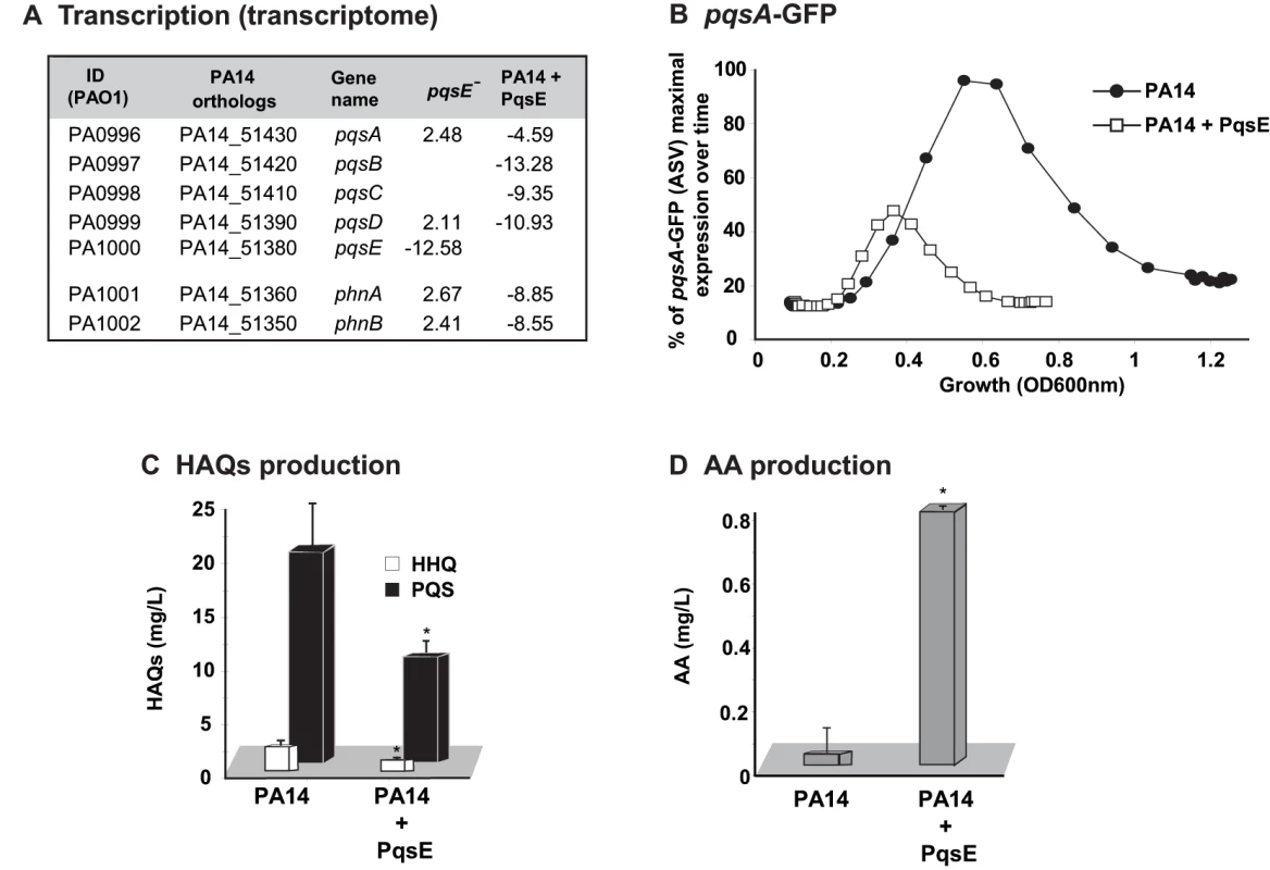 The homeostatic regulation of the signaling molecules HHQ and PQS is orchestrated by PqsE.