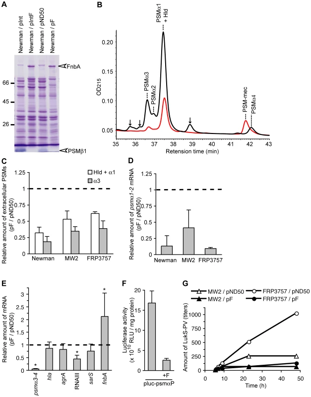 Introduction of the F region decreases the amount of extracellular PSMs and increases the amount of extracellular FnbA.