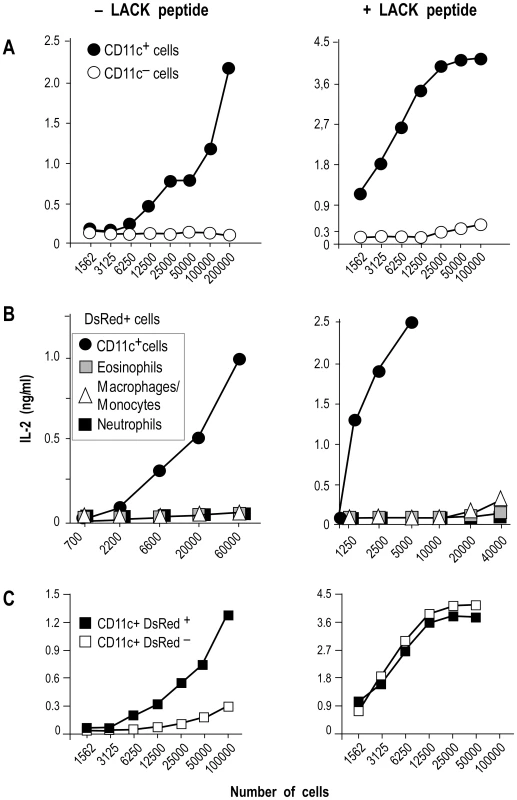 IL-2 secretion by LACK-specific T cell hybridomas upon incubation with different phagocytes.