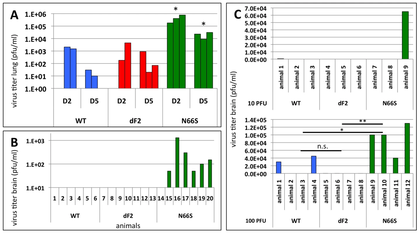 Effects of PB1-F2 expression on viral replication and spreading to the brain in mice.