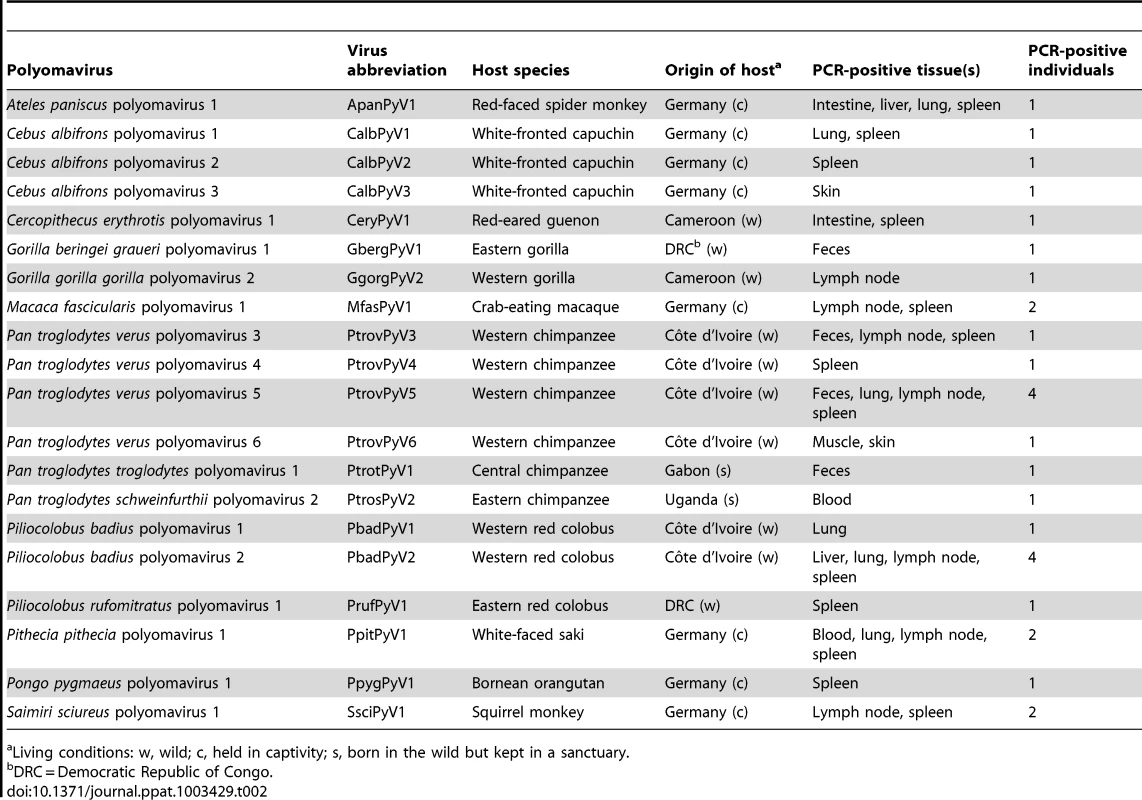 Novel polyomaviruses detected in nonhuman primates.