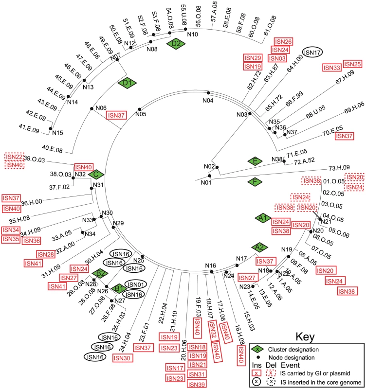 Insertions (solid lines) and deletions (dashed lines) of IS elements (<em class="ref">Tables S7</em>, <em class="ref">S8</em>, <em class="ref">S9</em>) in mobile elements (red boxes) or the core genome (black ellipses) mapped on a SNP genealogy of 73 Agona genomes.