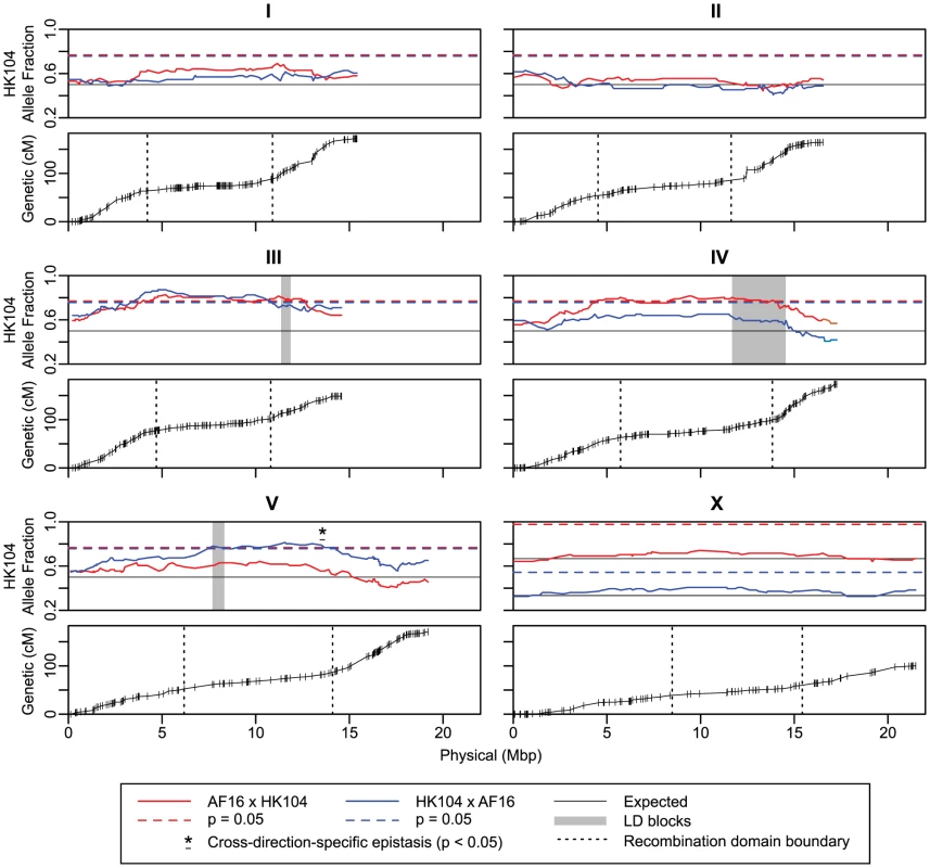 AI-RIL allele fraction and Marey plots.