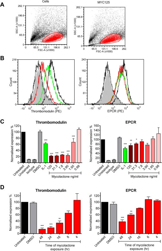 Mycolactone causes a profound depletion of thrombomodulin (TM) endothelial cell surfaces.