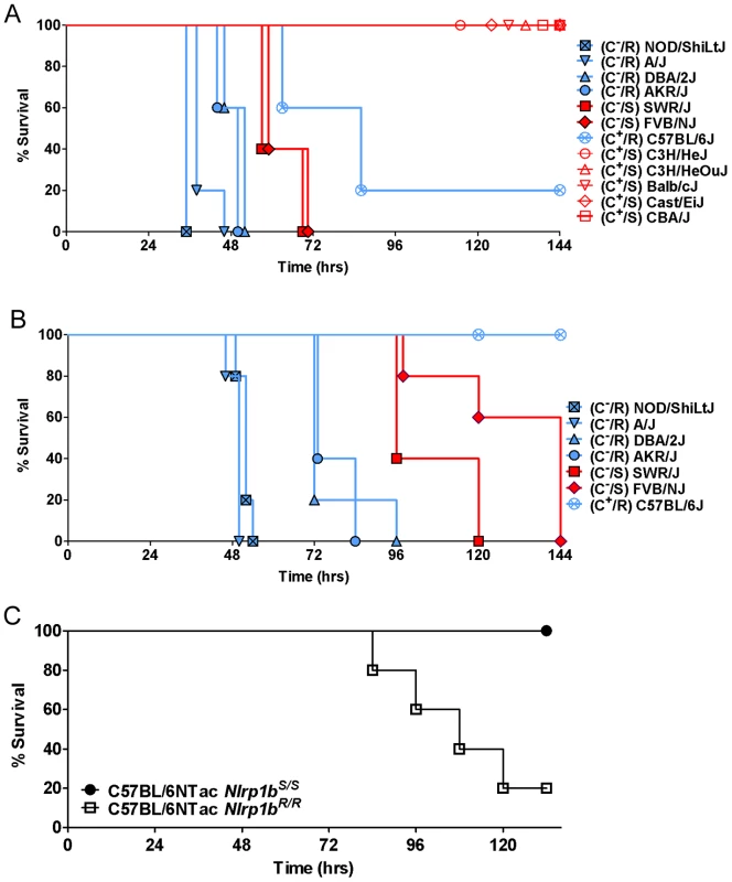 Susceptibility of inbred, C57BL/6NTac<i>Nlrp1b<sup>S/S</sup></i> and C57BL/6NTac<i>Nlrp1b<sup>R/R</sup></i> mouse strains to subcutaneous spore infection.