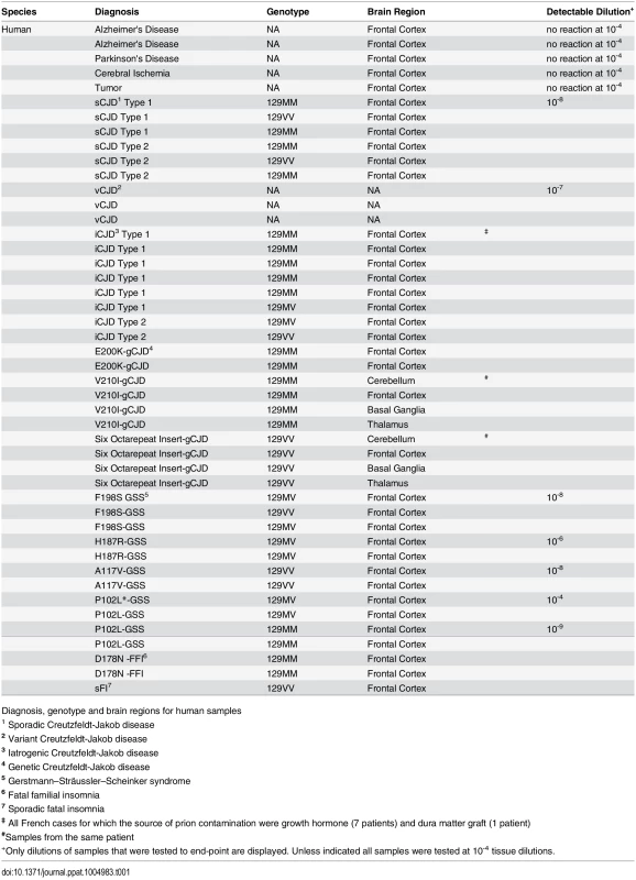 Human samples: diagnosis, <i>PRNP</i> genotype and brain regions.