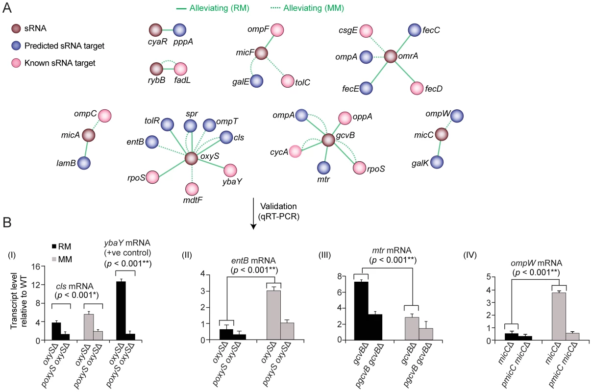 Target-regulator genetic interactions.