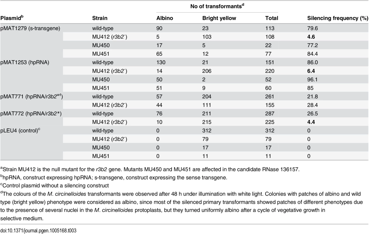Gene silencing by sense and inverted repeat transgenes in candidate RNase mutants<em class="ref"><sup>a</sup></em>.