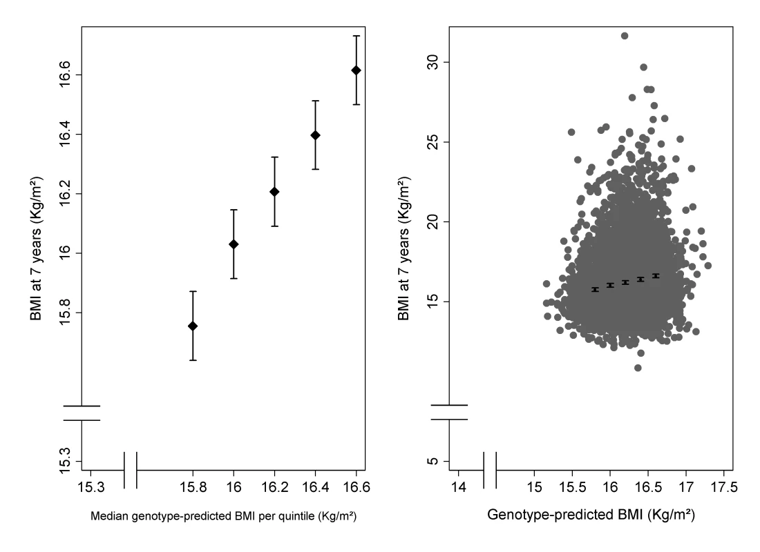 Association of BMI at 7½ y of 32 BMI-related SNPs.