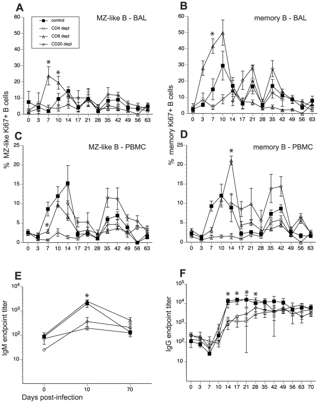 Impact of T and B cell depletion on kinetics and magnitude of B cell proliferation and IgG/IgM production following SVV infection.