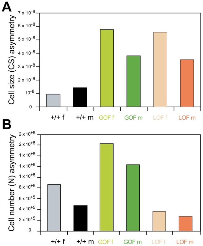 Fluctuating asymmetry of wing cell size and cell number.
