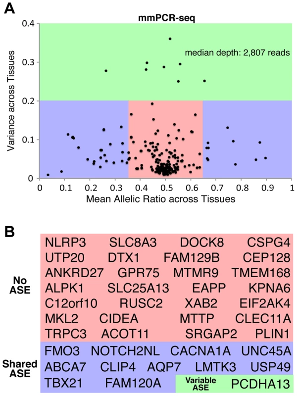 Patterns of ASE across tissues and their influence on rare deleterious variant interpretation.
