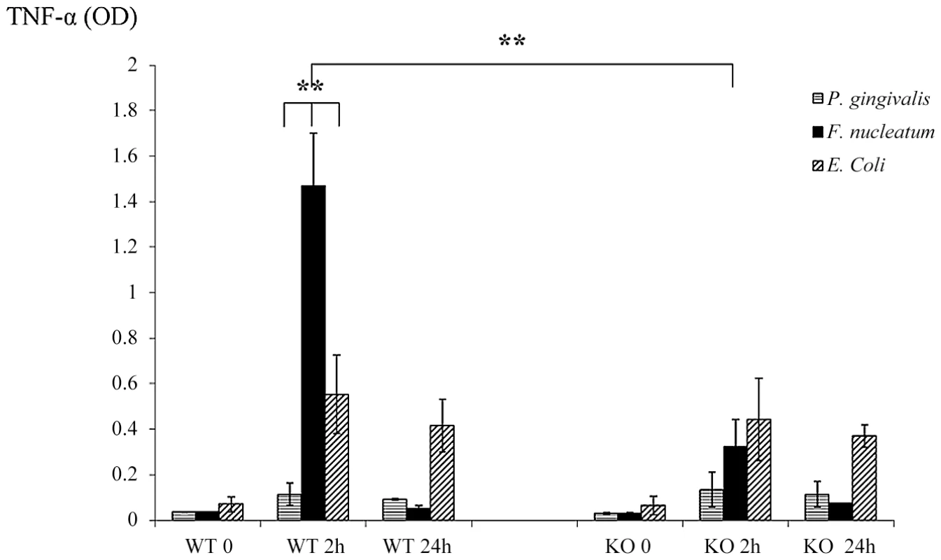 Cytokine profiles in challenged chambers.