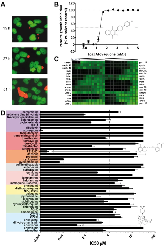 Validation and results of anti-infectives tested against <i>P. yoelii</i> liver stage parasites.