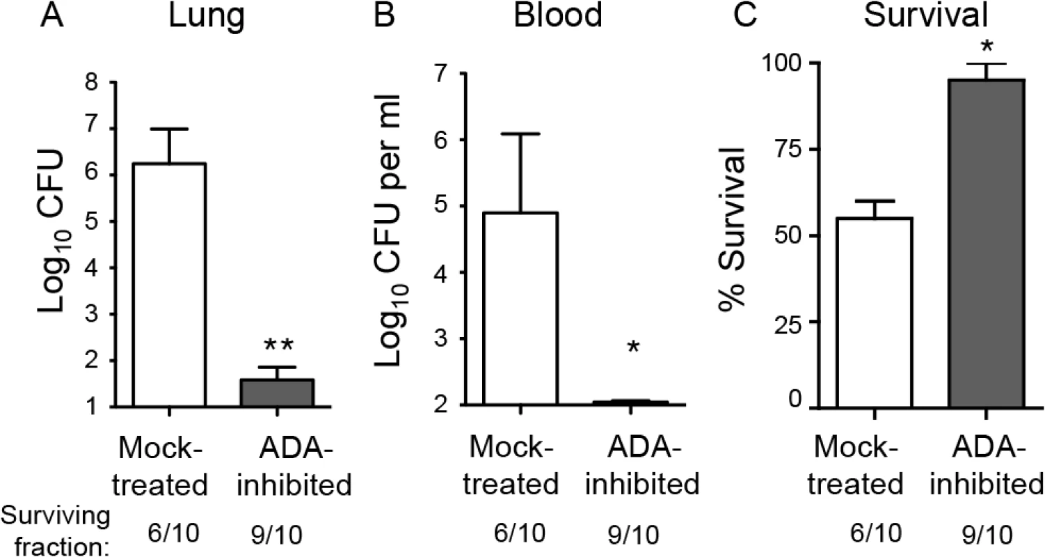 Inhibition of adenosine breakdown promotes resistance to <i>S</i>. <i>pneumoniae</i> lung challenge.