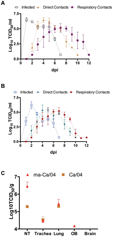 Replication and transmission of ma-Ca/04 in ferrets.