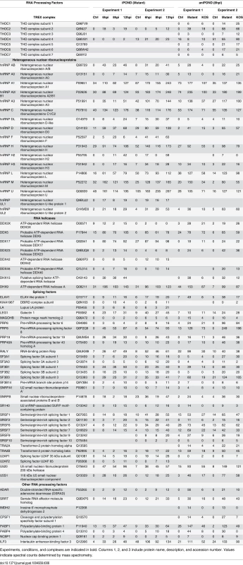 RNA processing factors identified by iPOND and aniPOND.