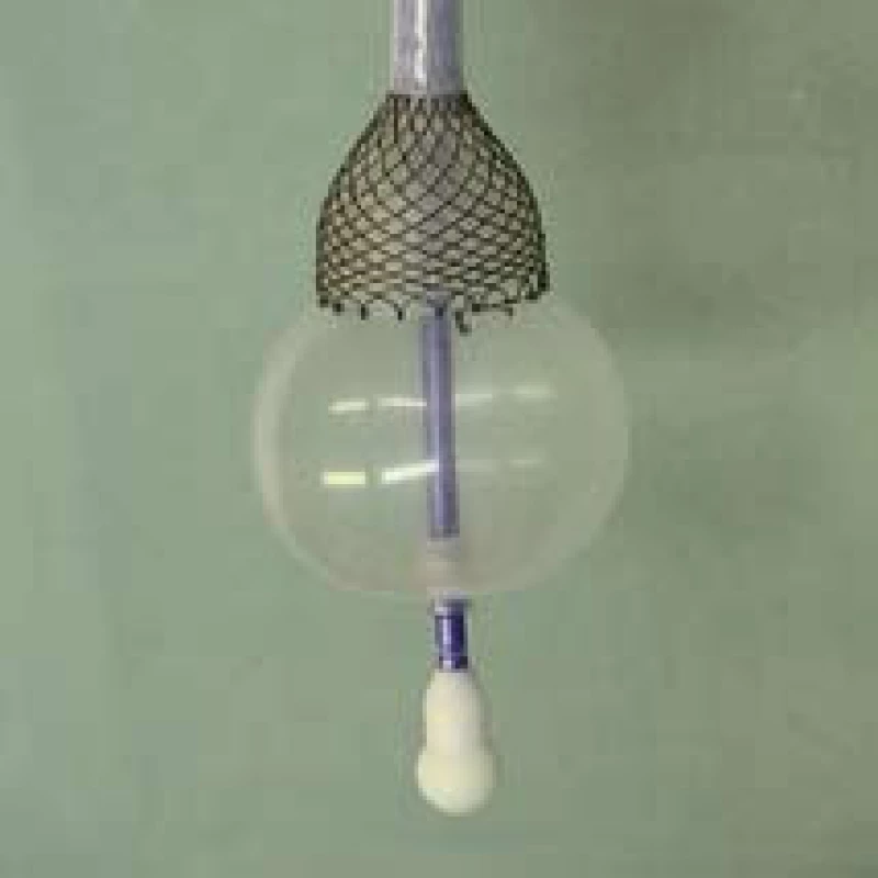 Distální konec zavaděče v první poloze po rozevření s insuflovaným balonkem umožňující fixaci v kardii.
Fig. 6. Distal end of the applicator in the first position after opening with an insufflated balloon, enabling fixation in cardia.