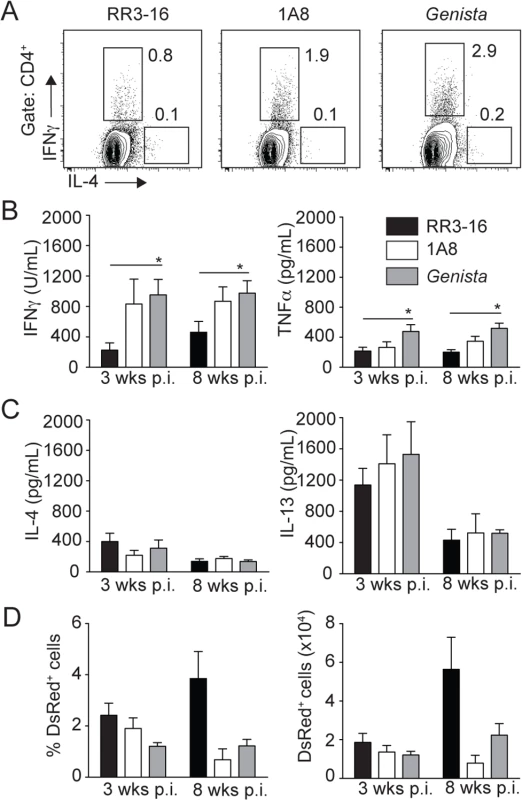 Early absence of neutrophils allows the development of <i>L</i>. <i>mexicana</i>-specific Th1 cells.