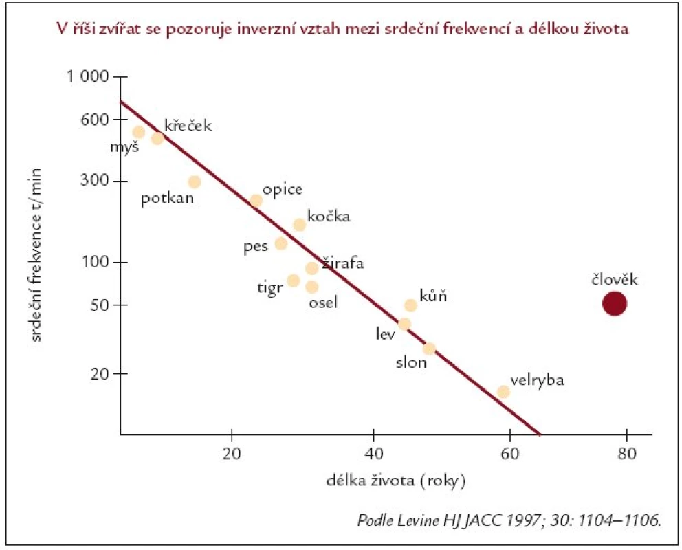 Vztah mezi srdeční frekvencí a délkou života u zvířat.