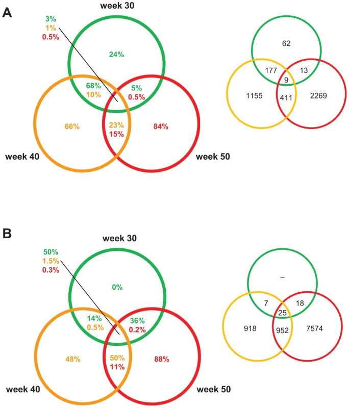 PCL-responsive and regression reactive gene sets of atherosclerosis regression.