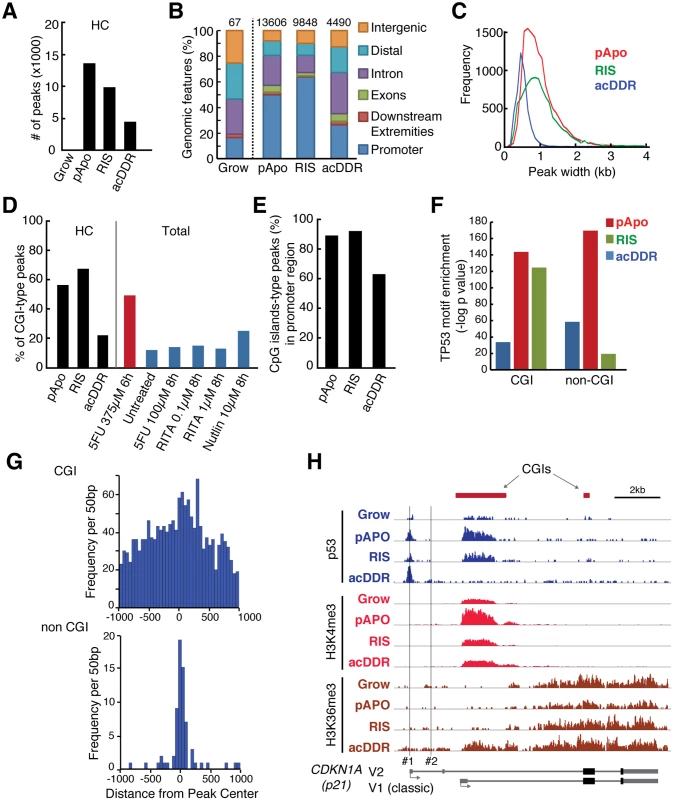 ‘Chronic’ p53 preferably associates with CpG islands, whereas ‘acute’ p53 exhibits a diverse genomic distribution.