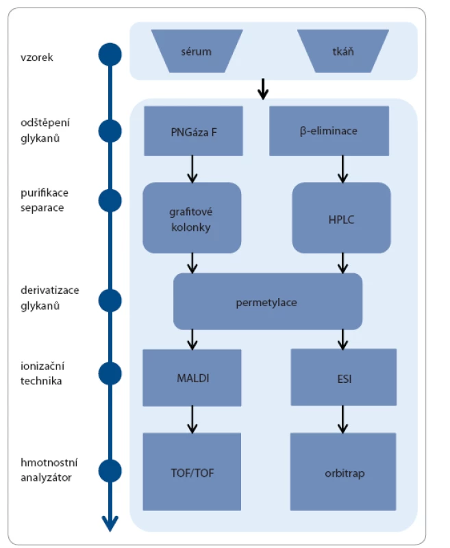 Ukázka workflow pro práci s glykany.