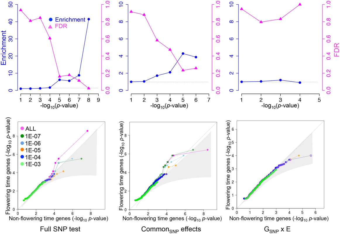 Enrichment for <i>a priori</i> flowering time candidates in MTMM.