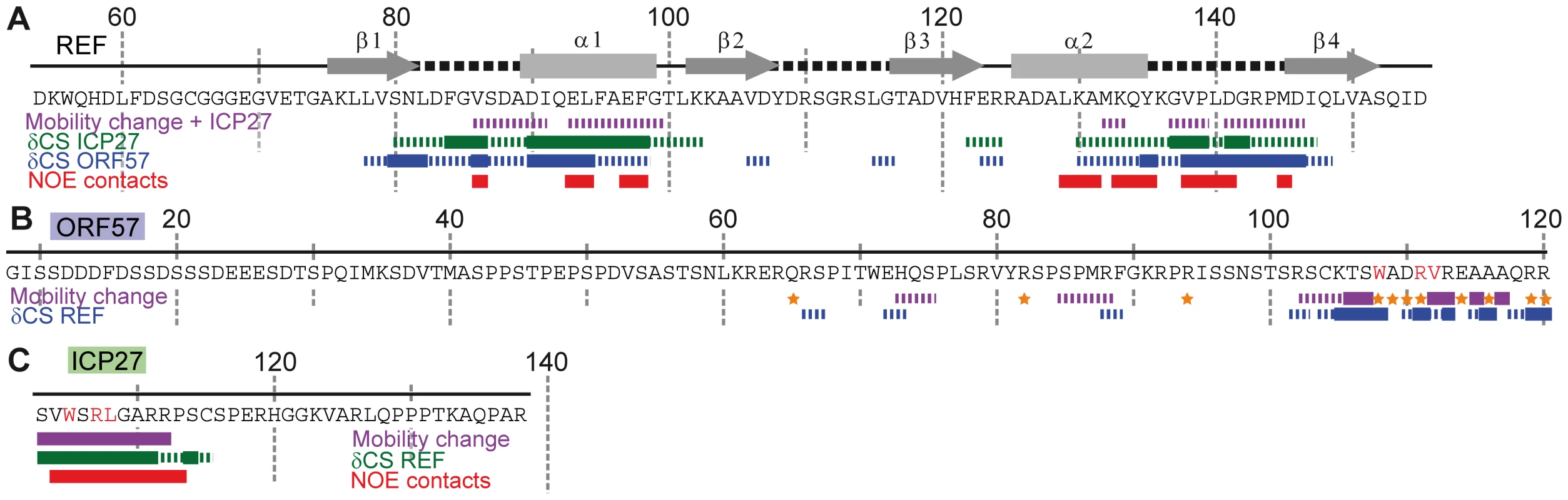 Identifying interaction sites within REF, ORF57 and ICP27 constructs via different NMR parameters.