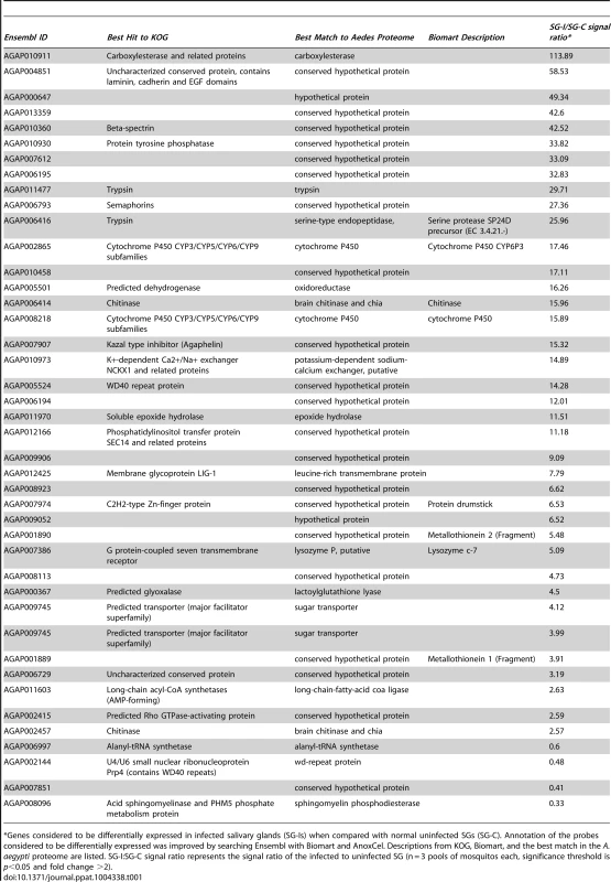 List of genes considered to be differentially expressed in salivary glands of <i>A. gambiae</i>, upon infection with <i>Plasmodium falciparum</i>.