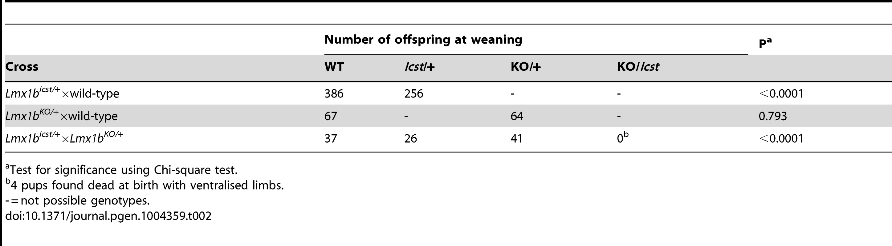 Genotyping results for backcross and intercross of the two <i>Lmx1b</i> alleles.