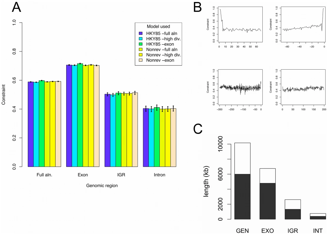 Selective constraint in Plasmodium genomes.