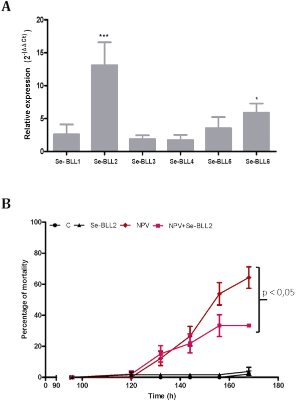 <i>BLL</i> expression and protection against baculovirus infection in <i>S</i>. <i>exigua</i>.