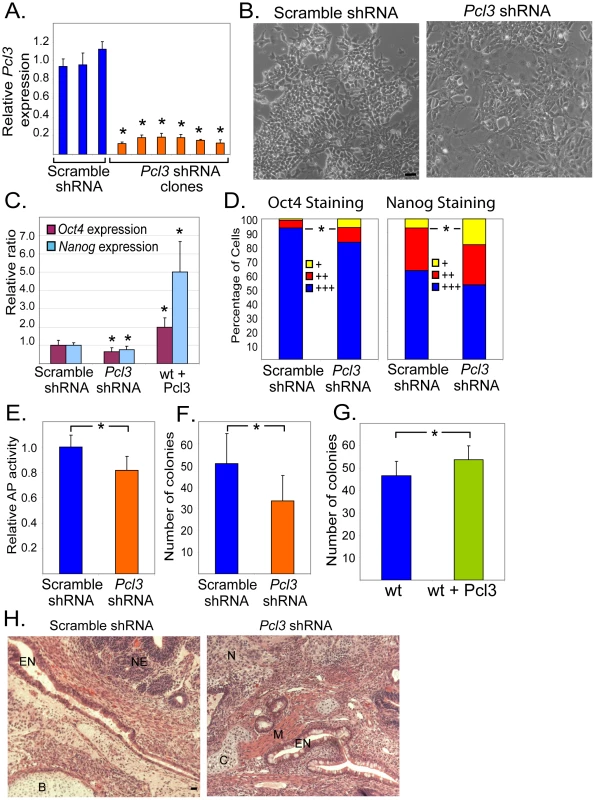 Pcl3 promotes ESC self-renewal.