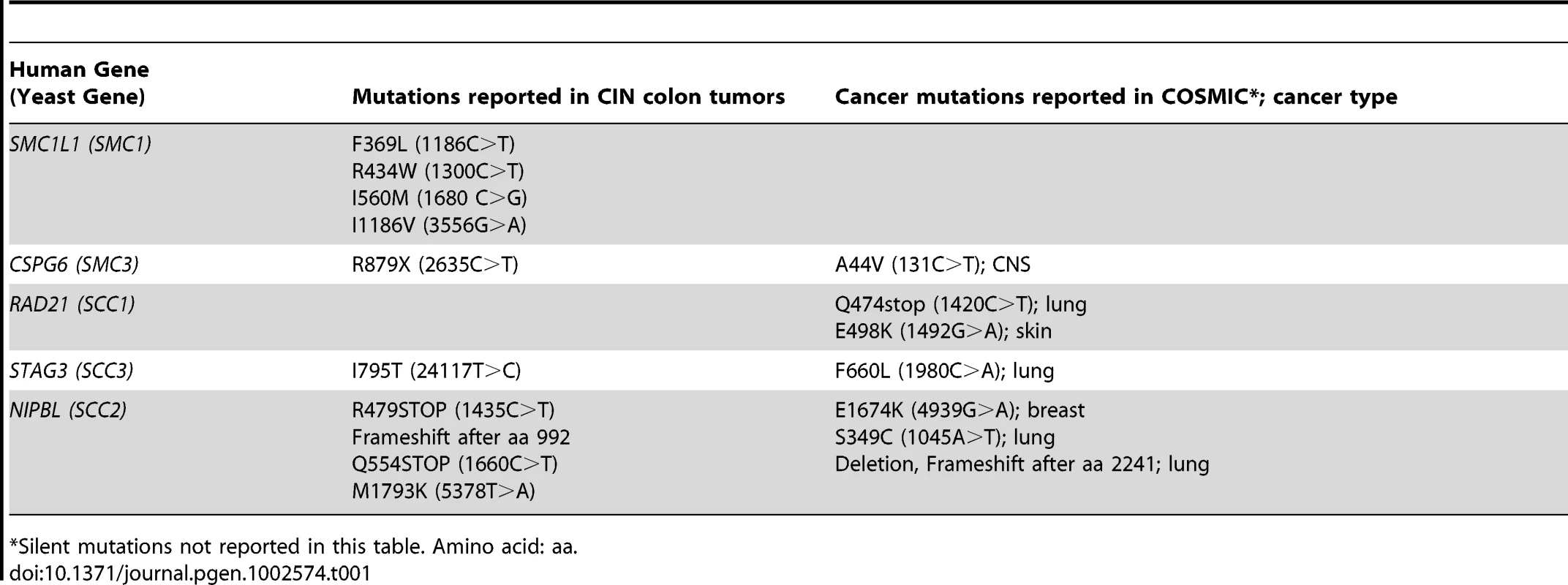 Mutations in cohesin genes seen in tumors.