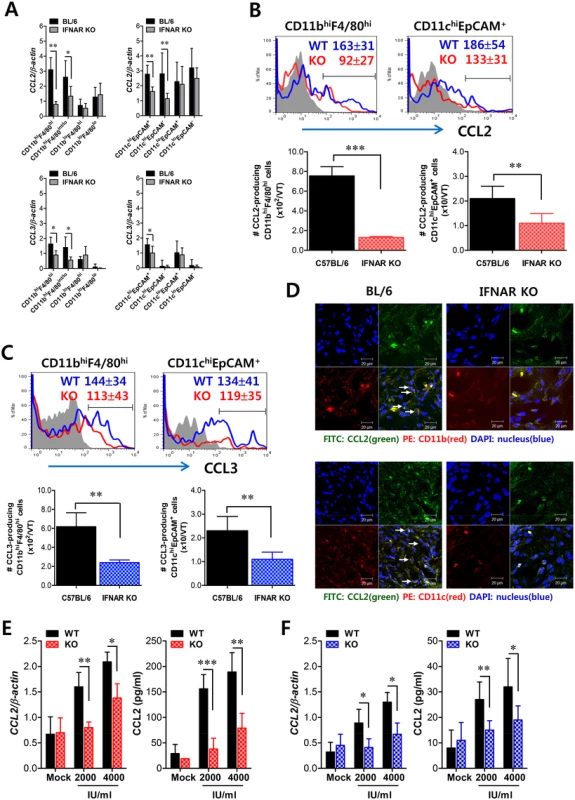 Critical role of IFN-I signaling on resident CD11b<sup>hi</sup>F4/80<sup>hi</sup> macrophages and CD11c<sup>hi</sup>EpCAM<sup>+</sup> DCs in the production of initial CCL2 protein for early migration of CD11b<sup>+</sup>Ly-6C<sup>hi</sup> monocytes.