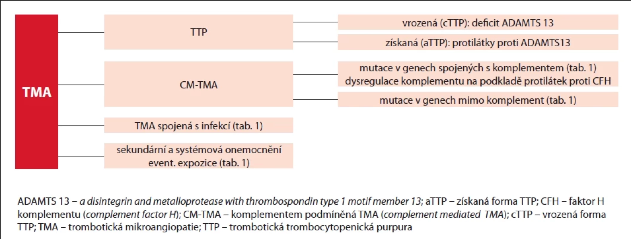 Rozdělení a diferenciální diagnóza TMA syndromů, upraveno podle [3,4].