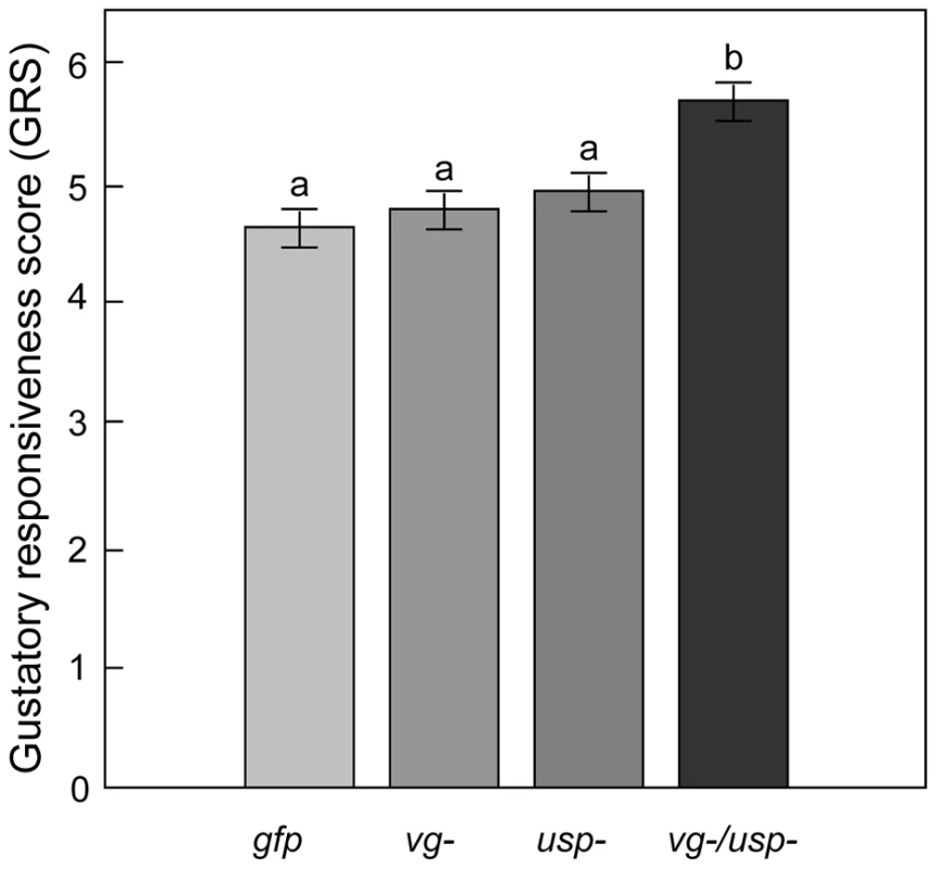 Gene knockdown effect on sucrose responsiveness in 7-day-old bees.